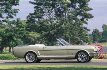 1965 Ford Mustang GT (copyright image)