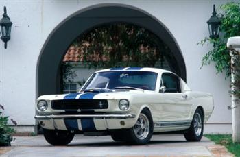 1965 Ford Mustang Shelby GT350 (copyright image)