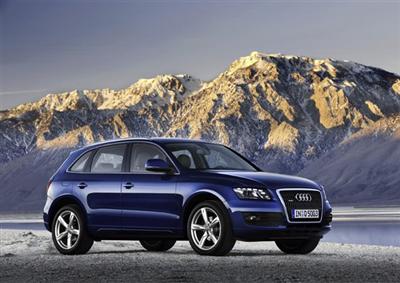 2009 Audi Q5 (copyright image)