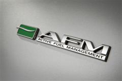 AFM badge (copyright image)