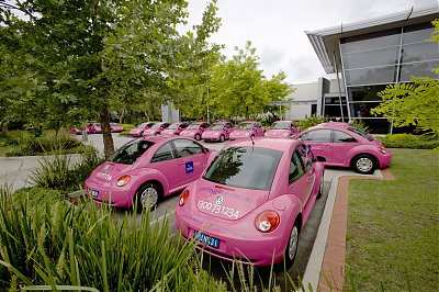 Pink Hygiene's fleet of Volkswagen Beetles